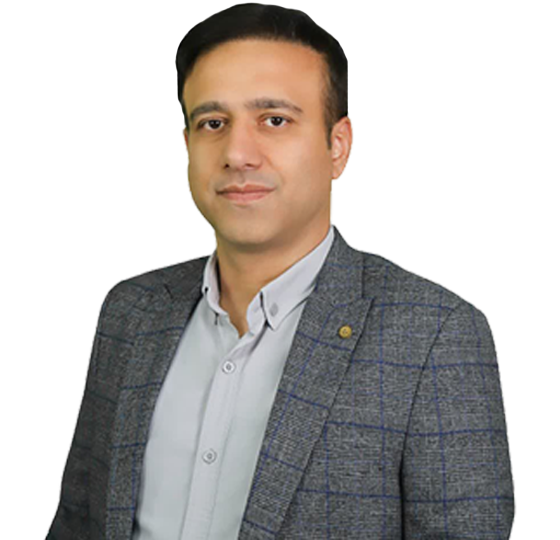 نکات و ترفندهای حرفه ای در MS Project - علی رشیدی